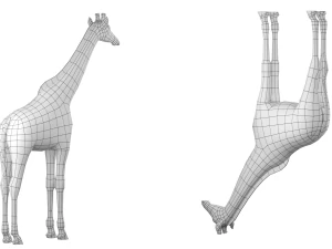 Giraffe Animal Base Mesh 3D Model