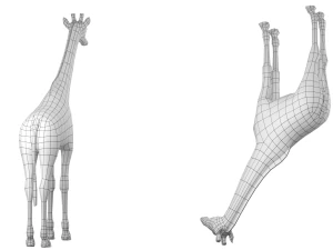 Giraffe Animal Base Mesh 3D Model
