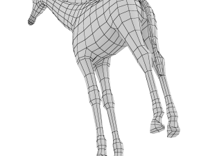 Giraffe Animal Base Mesh Modello 3D