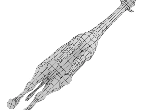 Giraffe Animal Base Mesh 3D Model