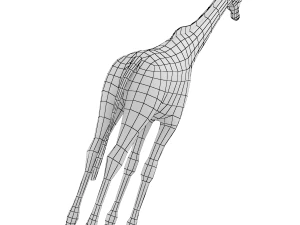 Giraffe Animal Base Mesh 3D Model