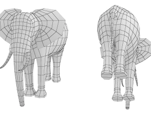 Maglia di base animale dell'elefante africano Modello 3D