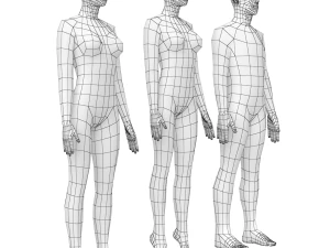Nat&uuml;rliches M&auml;nnchen und Weibchen in Ruhehaltung, Basisnetz 3D Modell