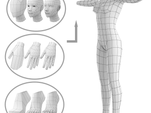 Natural Female on Toes in T-Pose Base Mesh Modelo 3D