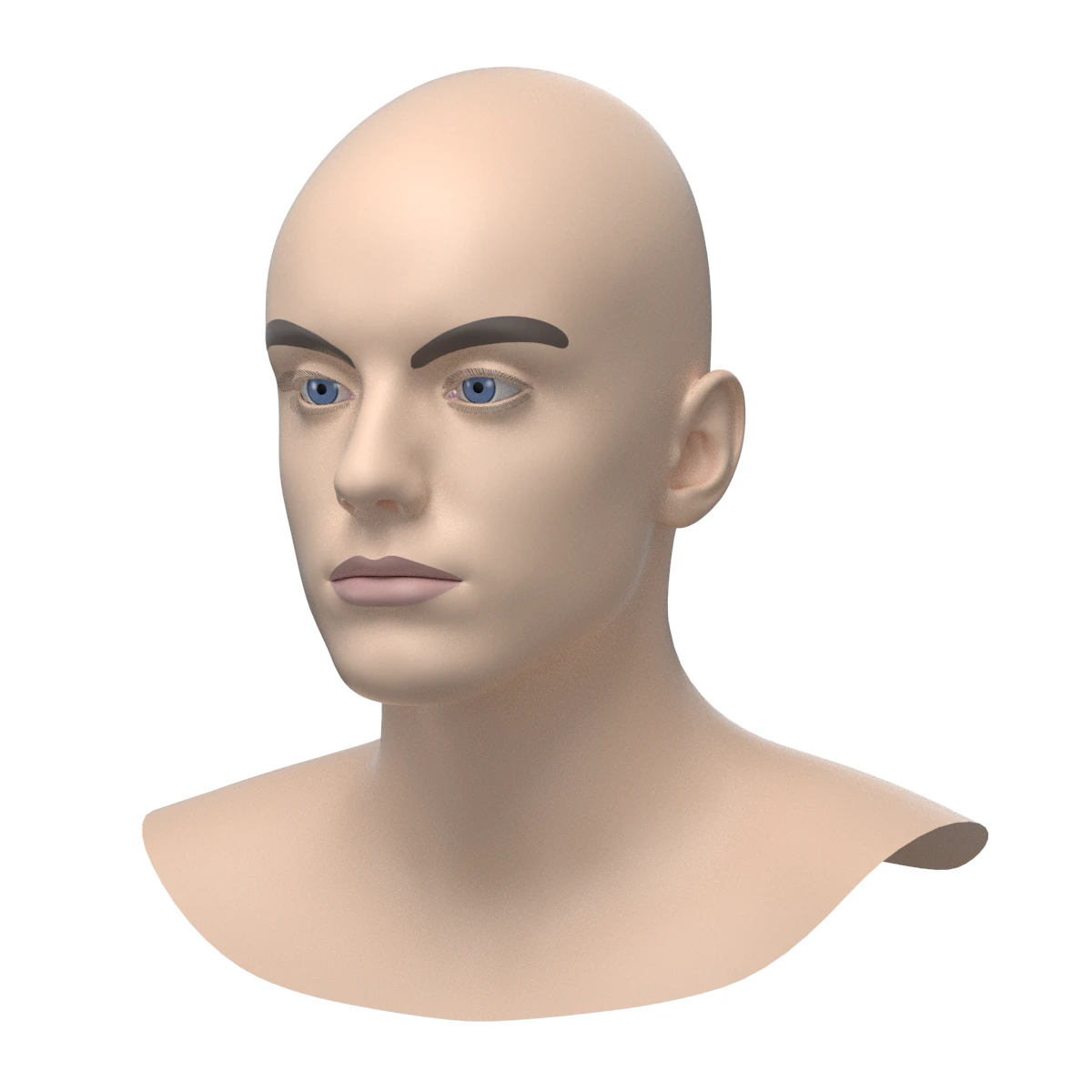 Natural Male Head 03 Base Mesh 3D Model .c4d .max .obj .3ds .fbx .stl .blend 