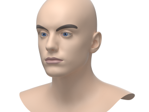 Natural Male Head 03 Base Mesh Modelo 3D