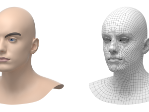 Natural Male Head 03 Base Mesh Modelo 3D