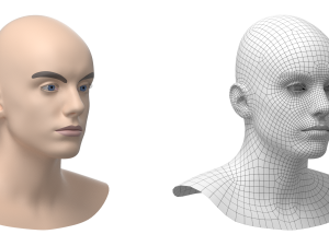 Natural Male Head 03 Base Mesh Modelo 3D
