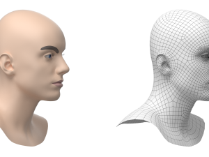 Natural Male Head 03 Base Mesh Modelo 3D