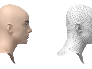 Natural Male Head 03 Base Mesh Modelo 3D