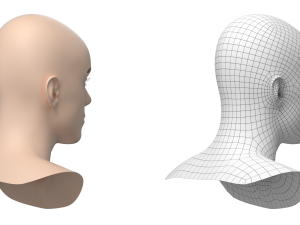 Natural Male Head 03 Base Mesh Modelo 3D