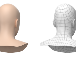 Natural Male Head 03 Base Mesh Modelo 3D