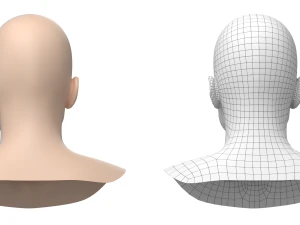 Natural Male Head 03 Base Mesh 3D Model