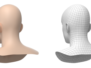 Natural Male Head 03 Base Mesh Modelo 3D