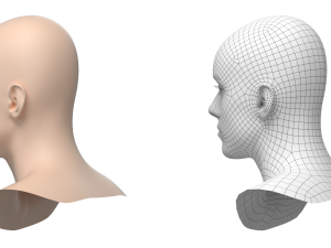 Natural Male Head 03 Base Mesh Modelo 3D