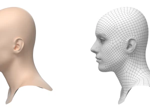 Natural Male Head 03 Base Mesh 3D Model