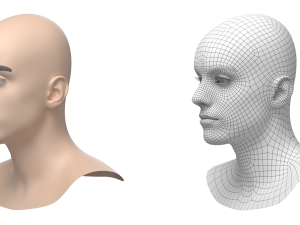 Natural Male Head 03 Base Mesh Modelo 3D