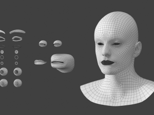 Natural Male Head 03 Base Mesh Modelo 3D