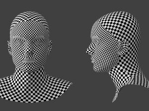 Natural Male Head 03 Base Mesh Modelo 3D