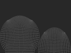 Natural Male Head 03 Base Mesh Modelo 3D