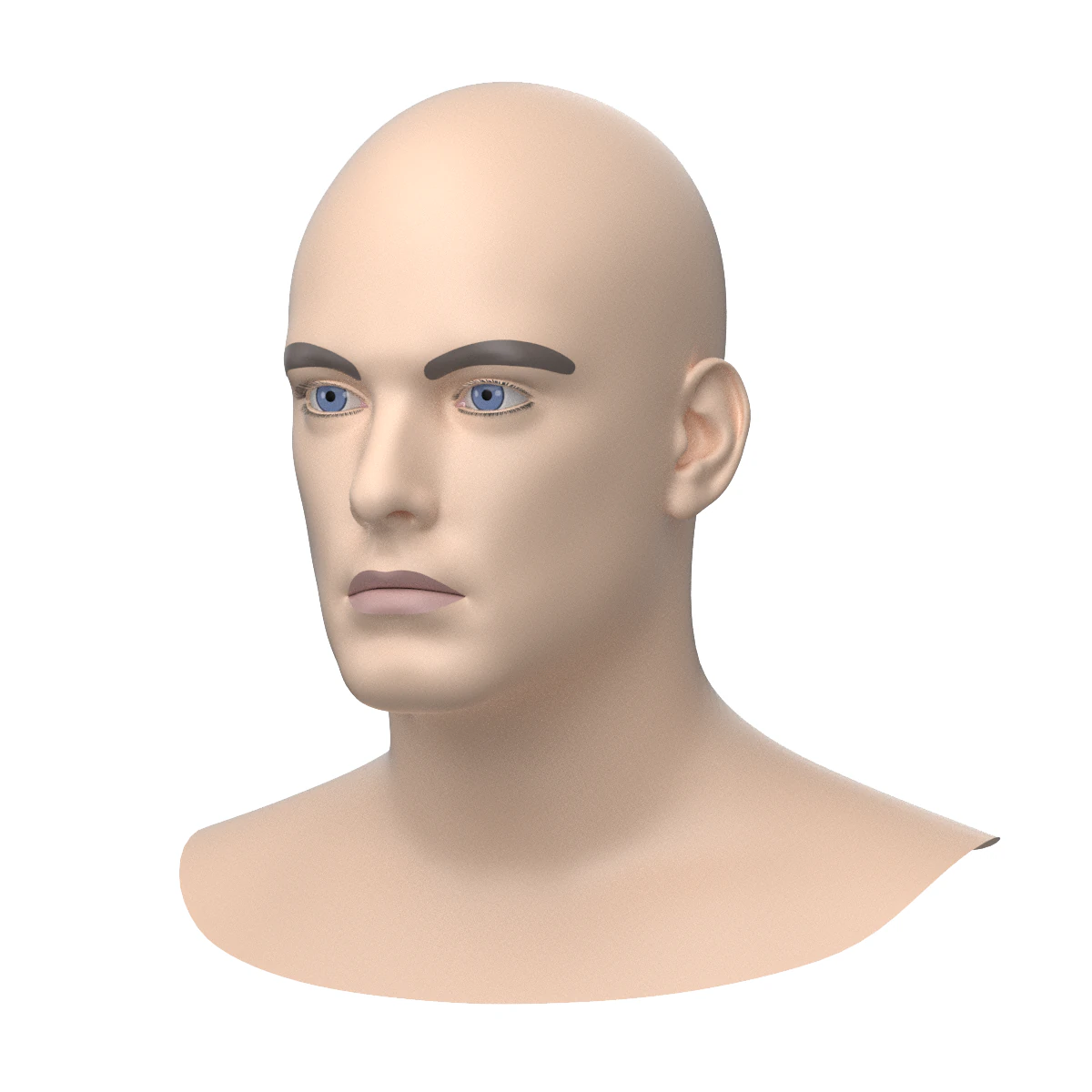 Natural Male Head 01 Base Mesh 3D Model .c4d .max .obj .3ds .fbx .stl .blend 