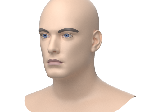 Natural Male Head 01 Base Mesh Modelo 3D