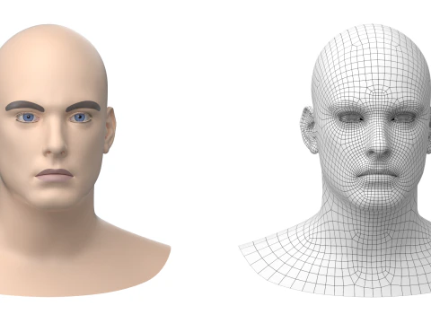 Natural Male Head 01 Base Mesh 3D Model