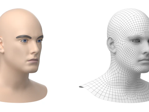 Natural Male Head 01 Base Mesh 3D Model