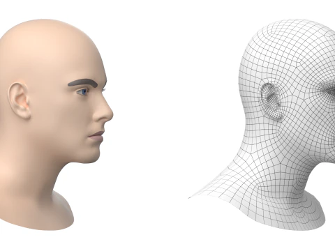 Natural Male Head 01 Base Mesh 3D Model