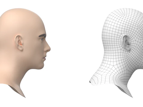 Natural Male Head 01 Base Mesh 3D Model