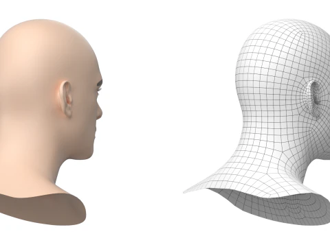 Natural Male Head 01 Base Mesh 3D Model