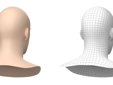 Natural Male Head 01 Base Mesh 3D Model