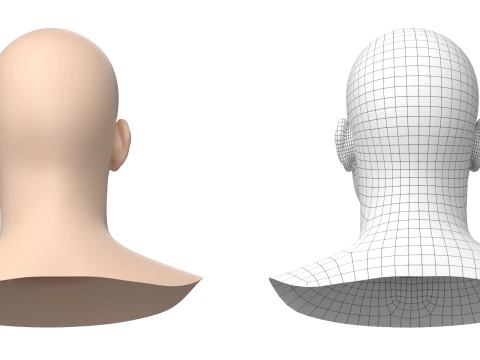 Natural Male Head 01 Base Mesh 3D Model