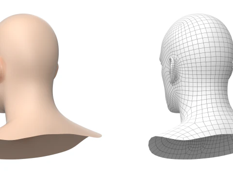 Natural Male Head 01 Base Mesh 3D Model