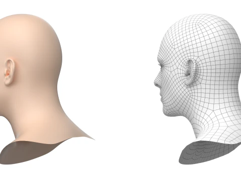Natural Male Head 01 Base Mesh 3D Model