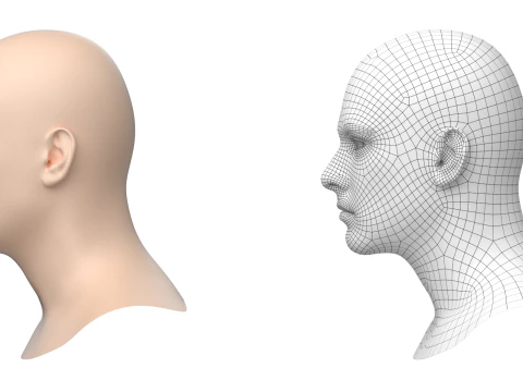 Natural Male Head 01 Base Mesh 3D Model