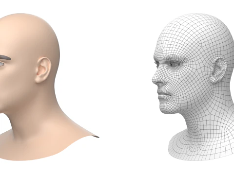Natural Male Head 01 Base Mesh 3D Model
