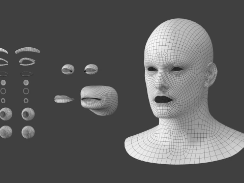 Natural Male Head 01 Base Mesh 3D Model