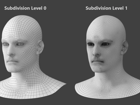 Natural Male Head 01 Base Mesh 3D Model