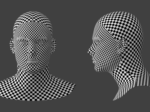 Natural Male Head 01 Base Mesh 3D Model