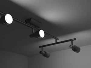 Metalic Ceiling Lamp Indoors 3D Model