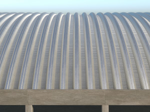 Arch Roof Modello 3D