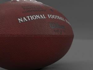 NFL football The Duke 100 3D Model