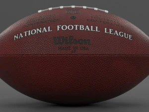 NFL football The Duke 100 3D Model