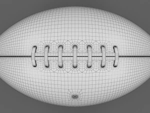 NFL football The Duke 100 3D Model
