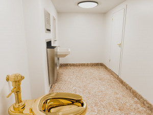 Van Gogh Solomon R Guggenheim Museum - Donald Trump Golden Toilet 3D Model
