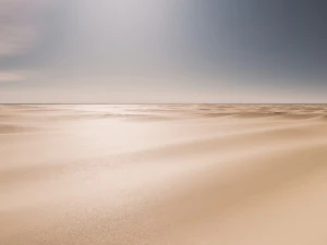 Tillable Desert Beach Sand Dunes with Height Map 3D Model