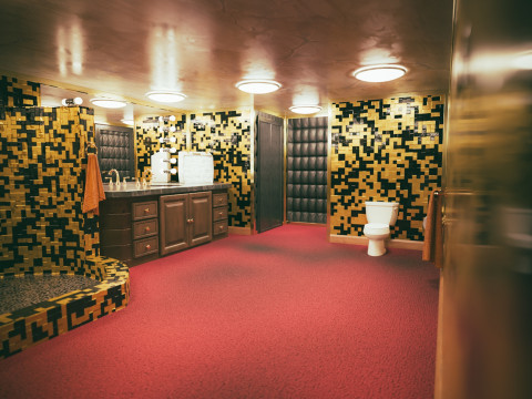 Elvis Presley Graceland Bathroom Interior 3D Model