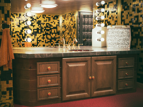 Elvis Presley Graceland Bathroom Interior 3D Модель