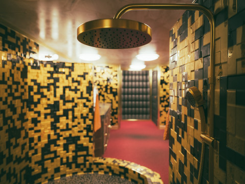 Elvis Presley Graceland Bathroom Interior 3D Модель